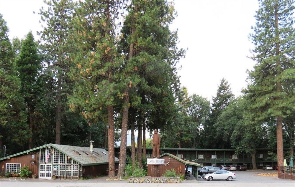 Shasta Inn Mount Shasta Dış mekan fotoğraf